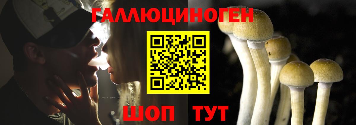 Новороссийск  Галлюциногенные грибы прущие грибы  где продают   Вход с VPN 